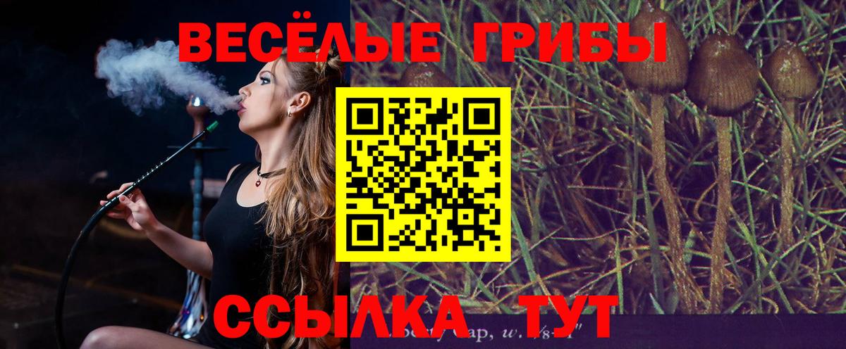 Галлюциногенные грибы мицелий Ирбит